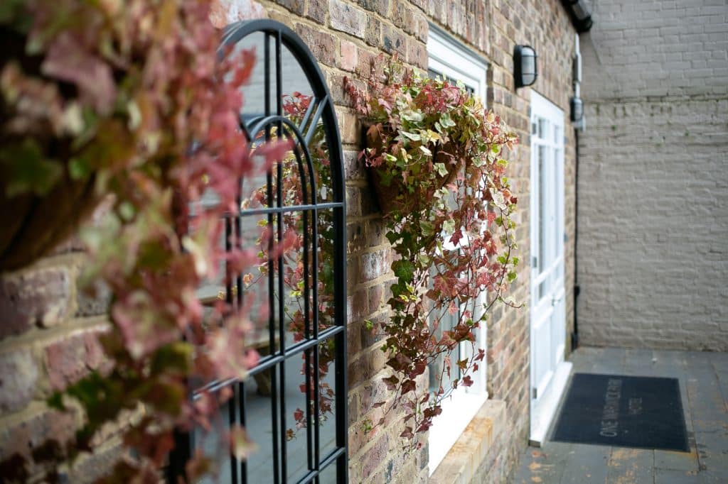 autumn leaves outside a residential apartment 