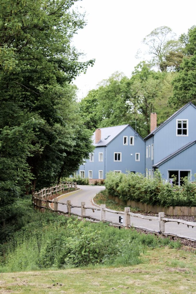 blue house in the woodlands surrounded by trees, greenery and a picturesque setting